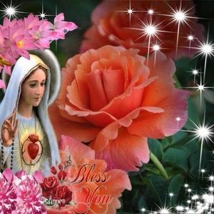 Meet your Posher, Hoa